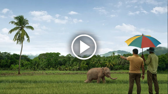 Dilmah Our Story